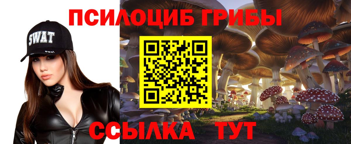 Галлюциногенные грибы ЛСД Вольск